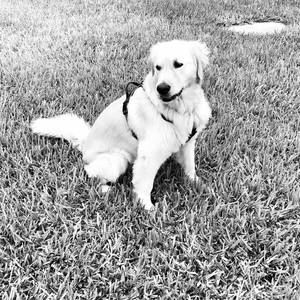 Meet your Posher, Sherry